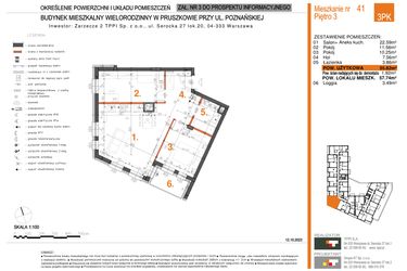 Rzut - Mieszkanie na sprzedaż 3 pokoje o powierzchni 55,82 m² - numer 41 w Zarzecze II Pruszków