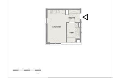 Rzut - Mieszkanie na sprzedaż 1 pokój o powierzchni 31,35 m² - numer B2 w Komuny Paryskiej 19a