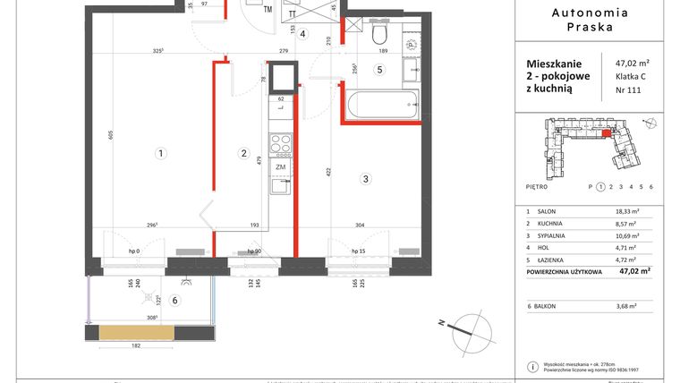 Rzut - Mieszkanie na sprzedaż 2 pokoje o powierzchni 47,02 m² - numer 111 w Autonomia Praska