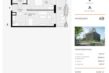 Rzut - Mieszkanie na sprzedaż 2 pokoje o powierzchni 43,29 m² - numer 49 w Semiramis