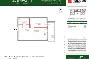 Rzut - Mieszkanie na sprzedaż 2 pokoje o powierzchni 37,57 m² - numer C113 w Grunwald Między Drzewami etap III