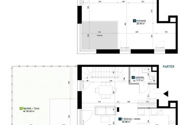 Rzut - Mieszkanie na sprzedaż 1 pokój o powierzchni 73,13 m² - numer AE0006 w Viva Cité 2