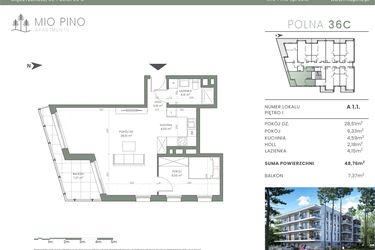 Rzut - Mieszkanie na sprzedaż 3 pokoje o powierzchni 48,76 m² - numer 1.1 w Mio Pino