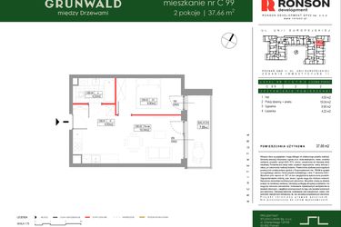 Rzut - Mieszkanie na sprzedaż 2 pokoje o powierzchni 37,66 m² - numer C099 w Grunwald Między Drzewami etap III