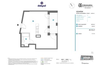 Rzut - Mieszkanie na sprzedaż 1 pokój o powierzchni 45,18 m² - numer 1.3.032 w Granaria