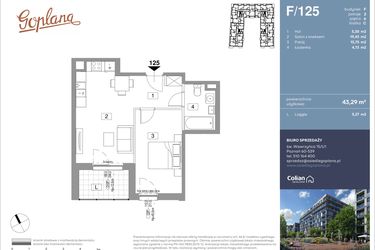 Rzut - Mieszkanie na sprzedaż 2 pokoje o powierzchni 43,29 m² - numer F125 w Goplana budynek F