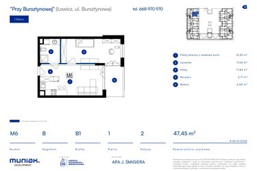 Rzut - Mieszkanie na sprzedaż 2 pokoje o powierzchni 47,45 m² - numer 6B w Przy Bursztynowej