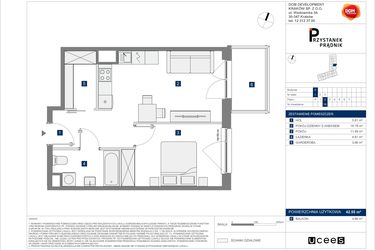 Rzut - Mieszkanie na sprzedaż 2 pokoje o powierzchni 42,55 m² - numer 16 w Przystanek Prądnik