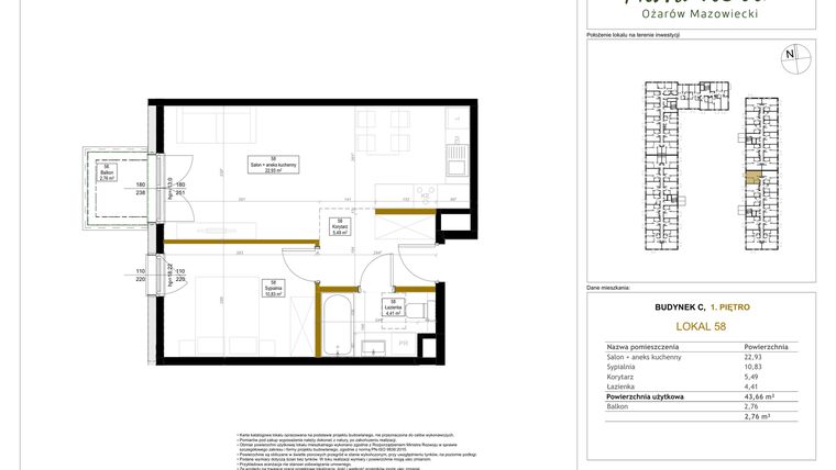 Rzut - Mieszkanie na sprzedaż 2 pokoje o powierzchni 43,66 m² - numer 58 w Aura Nova etap II