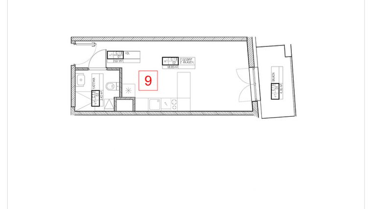 Rzut - Mieszkanie na sprzedaż 1 pokój o powierzchni 25,02 m² - numer C1.9 w Rezydencja Ogród Saski etap I i II