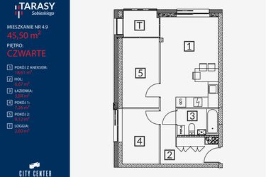 Rzut - Mieszkanie na sprzedaż 3 pokoje o powierzchni 45,5 m² - numer B2.M.4.9 w Tarasy Sobieskiego