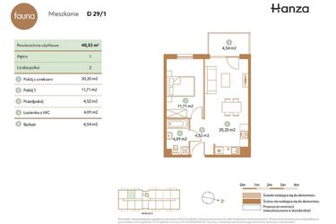 Rzut - Mieszkanie na sprzedaż 2 pokoje o powierzchni 40,52 m² - numer D29-1 w Fauna