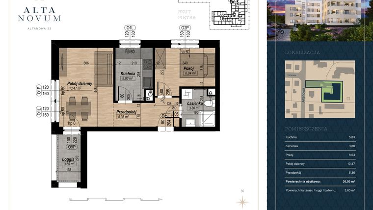 Rzut - Mieszkanie na sprzedaż 2 pokoje o powierzchni 36,5 m² - numer 9 w Alta Novum