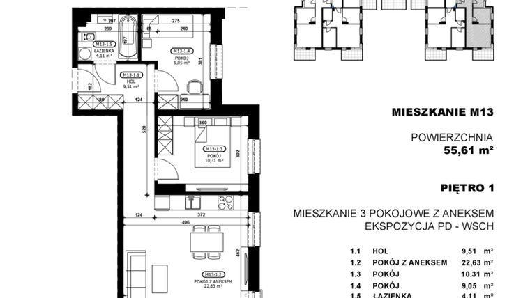 Rzut - Mieszkanie na sprzedaż 3 pokoje o powierzchni 55,61 m² - numer C2-M13 w Stacja Łódź V – etap C2