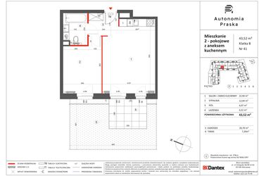 Rzut - Mieszkanie na sprzedaż 2 pokoje o powierzchni 43,52 m² - numer 41 w Autonomia Praska