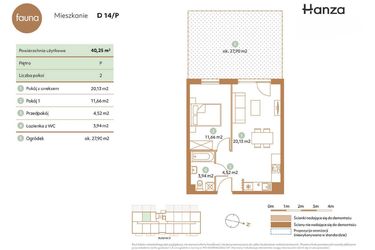 Rzut - Mieszkanie na sprzedaż 2 pokoje o powierzchni 40,25 m² - numer D14-P w Fauna