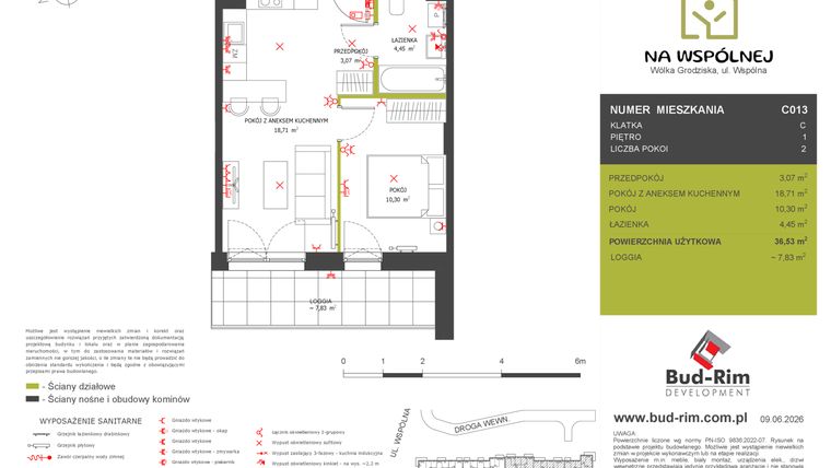 Rzut - Mieszkanie na sprzedaż 2 pokoje o powierzchni 36,53 m² - numer C13 w Na Wspólnej etap 2