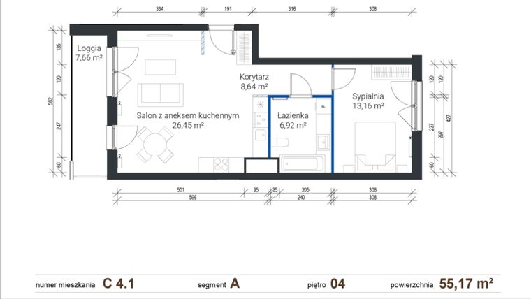 Rzut - Mieszkanie na sprzedaż 2 pokoje o powierzchni 55,17 m² - numer C 4.1 w Nowe Zabłocie