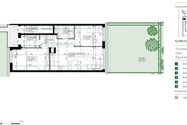 Rzut - Mieszkanie na sprzedaż 3 pokoje o powierzchni 66,23 m² - numer 8.1 w Green Ville