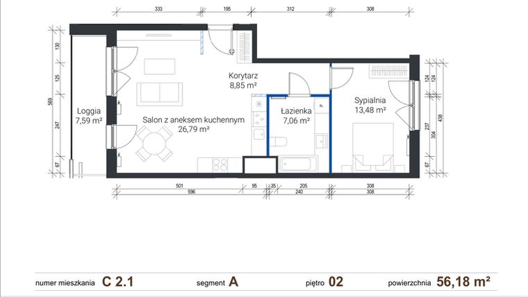 Rzut - Mieszkanie na sprzedaż 2 pokoje o powierzchni 56,18 m² - numer C 2.1 w Nowe Zabłocie