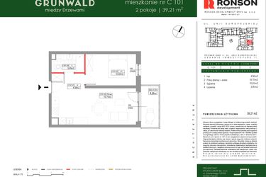 Rzut - Mieszkanie na sprzedaż 2 pokoje o powierzchni 39,21 m² - numer C101 w Grunwald Między Drzewami etap III
