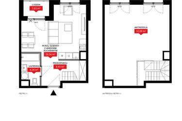 Rzut - Mieszkanie na sprzedaż 1 pokój o powierzchni 66,24 m² - numer A2 354 w 29L