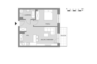 Rzut - Mieszkanie na sprzedaż 2 pokoje o powierzchni 43,88 m² - numer C2.4 w Osiedle Aleksandria II - budynek B