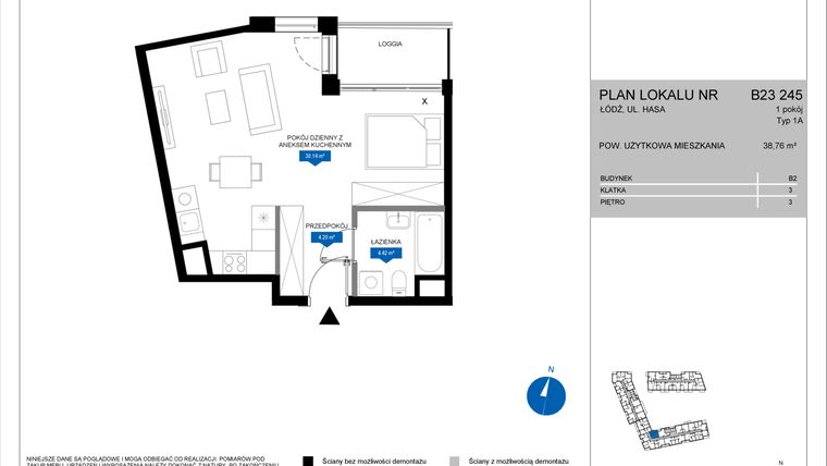 Rzut - Mieszkanie na sprzedaż 1 pokój o powierzchni 38,76 m² - numer B23 245 w Flow - bud. B2 A i bud. B2 B