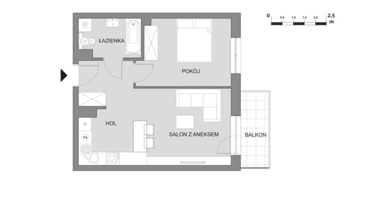 Rzut - Mieszkanie na sprzedaż 2 pokoje o powierzchni 43,89 m² - numer C4.3 w Osiedle Aleksandria II - budynek B