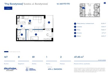 Rzut - Mieszkanie na sprzedaż 2 pokoje o powierzchni 47,45 m² - numer 7B w Przy Bursztynowej