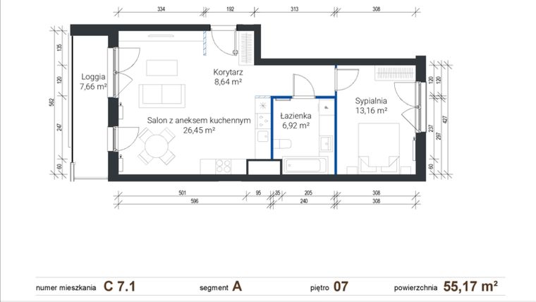Rzut - Mieszkanie na sprzedaż 2 pokoje o powierzchni 55,17 m² - numer C 7.1 w Nowe Zabłocie