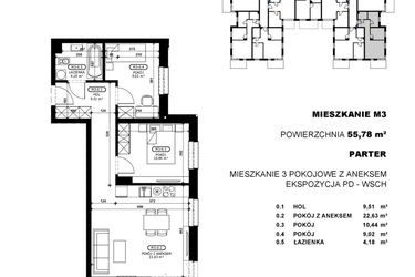 Rzut - Mieszkanie na sprzedaż 3 pokoje o powierzchni 55,78 m² - numer C2-M3 w Stacja Łódź V – etap C2