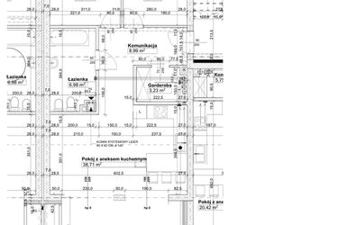 Rzut - Mieszkanie na sprzedaż 3 pokoje o powierzchni 78,42 m² - numer P1 w Osiedle Stara Cegielnia etap VII
