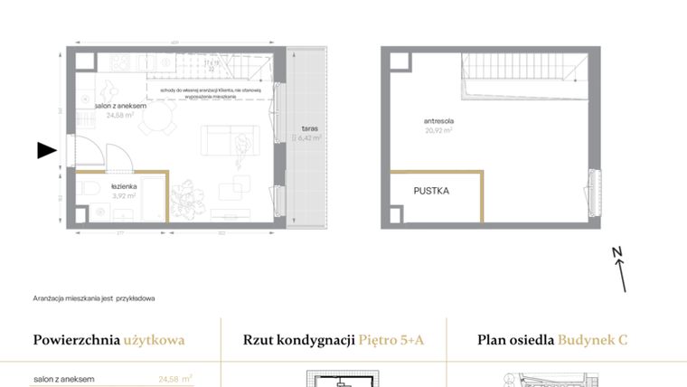 Rzut - Mieszkanie na sprzedaż 1 pokój o powierzchni 49,42 m² - numer C/65 w Królowej Jadwigi