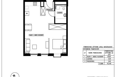 Rzut - Mieszkanie na sprzedaż 1 pokój o powierzchni 43,46 m² - numer 7 w Nowa Kurkowa