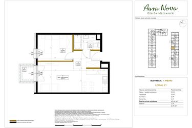 Rzut - Mieszkanie na sprzedaż 2 pokoje o powierzchni 43,66 m² - numer 21 w Aura Nova etap II