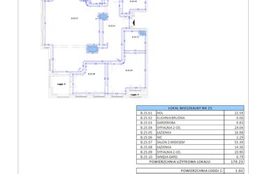 Rzut - Mieszkanie na sprzedaż 2 pokoje o powierzchni 179,23 m² - numer B.25 w Gaja Park