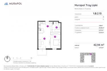 Rzut - Mieszkanie na sprzedaż 2 pokoje o powierzchni 42,94 m² - numer 1.B.2.13 w Murapol Trzy Lipki