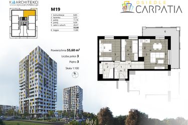 Rzut - Mieszkanie na sprzedaż 3 pokoje o powierzchni 55,6 m² - numer A2.19 w Osiedle Carpatia Etap II