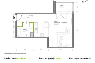 Rzut - Mieszkanie na sprzedaż 1 pokój o powierzchni 40,77 m² - numer A.012 w Żabiniec Vita
