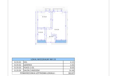 Rzut - Mieszkanie na sprzedaż 3 pokoje o powierzchni 30,07 m² - numer B.19 w Gaja Park