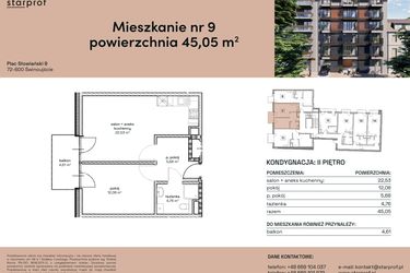 Rzut - Mieszkanie na sprzedaż 2 pokoje o powierzchni 45,05 m² - numer M9 w Plac Słowiański 9