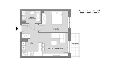 Rzut - Mieszkanie na sprzedaż 2 pokoje o powierzchni 42,67 m² - numer C2.3 w Osiedle Aleksandria II - budynek B