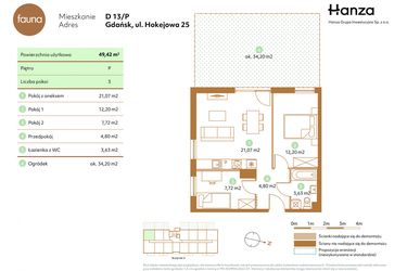 Rzut - Mieszkanie na sprzedaż 3 pokoje o powierzchni 49,42 m² - numer D13-P w Fauna
