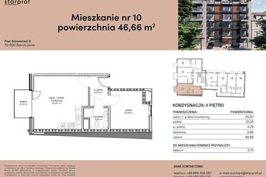 Rzut - Mieszkanie na sprzedaż 2 pokoje o powierzchni 46,66 m² - numer M10 w Plac Słowiański 9