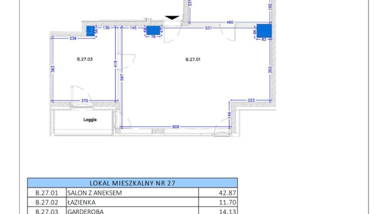 Rzut - Mieszkanie na sprzedaż 2 pokoje o powierzchni 68,7 m² - numer B.28 w Gaja Park