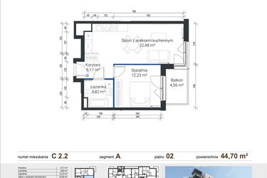 Rzut - Mieszkanie na sprzedaż 2 pokoje o powierzchni 44,7 m² - numer C 2.2 w Nowe Zabłocie