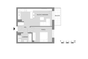 Rzut - Mieszkanie na sprzedaż 2 pokoje o powierzchni 43,89 m² - numer C3.1 w Osiedle Aleksandria II - budynek B