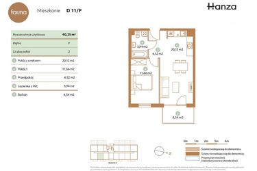 Rzut - Mieszkanie na sprzedaż 2 pokoje o powierzchni 40,25 m² - numer D11-P w Fauna