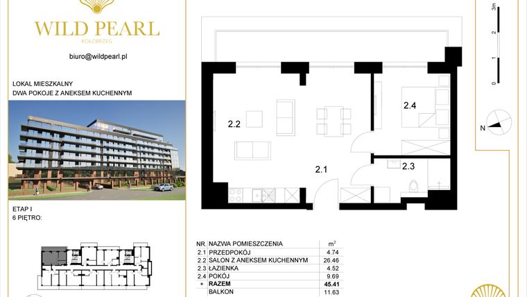 Rzut - Mieszkanie na sprzedaż 2 pokoje o powierzchni 45,41 m² - numer 6.2 w Wild Pearl